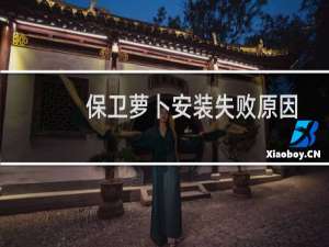 保卫萝卜安装失败原因