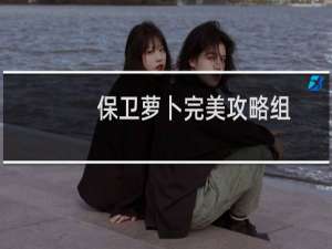 保卫萝卜完美攻略组