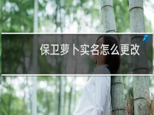 保卫萝卜实名怎么更改
