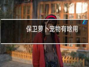 保卫萝卜宠物有啥用
