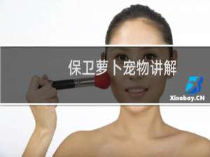 保卫萝卜宠物讲解