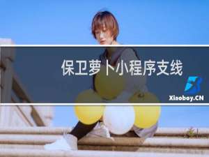 保卫萝卜小程序支线