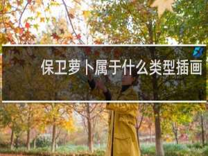 保卫萝卜属于什么类型插画