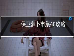 保卫萝卜市集40攻略