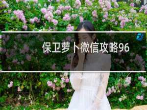 保卫萝卜微信攻略96