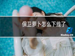 保卫萝卜怎么下线了