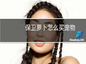 保卫萝卜怎么买宠物