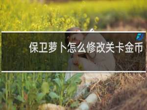 保卫萝卜怎么修改关卡金币