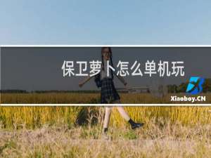 保卫萝卜怎么单机玩