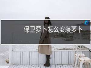 保卫萝卜怎么安装萝卜