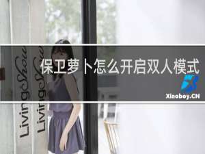 保卫萝卜怎么开启双人模式