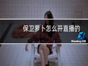 保卫萝卜怎么开直播的