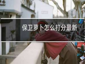 保卫萝卜怎么打分最新