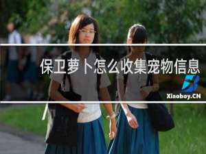 保卫萝卜怎么收集宠物信息