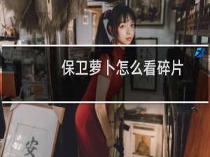 保卫萝卜怎么看碎片