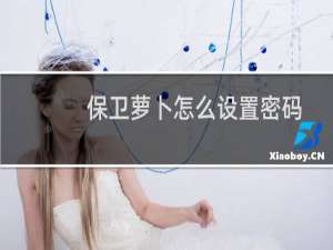 保卫萝卜怎么设置密码