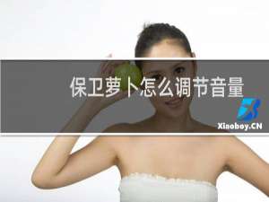 保卫萝卜怎么调节音量