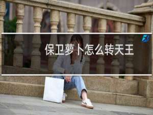 保卫萝卜怎么转天王