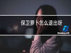 保卫萝卜怎么退出呀