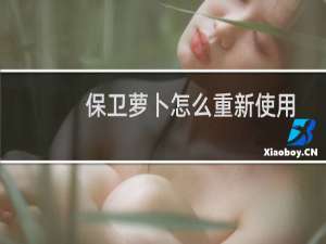 保卫萝卜怎么重新使用