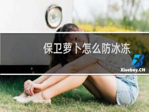 保卫萝卜怎么防冰冻