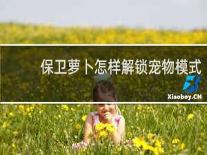 保卫萝卜怎样解锁宠物模式