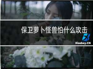 保卫萝卜怪兽怕什么攻击