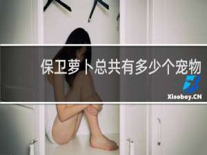 保卫萝卜总共有多少个宠物