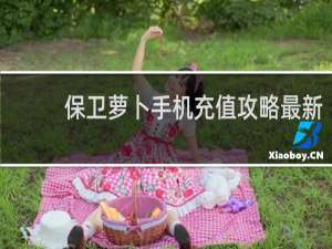 保卫萝卜手机充值攻略最新