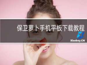 保卫萝卜手机平板下载教程