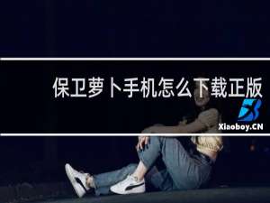 保卫萝卜手机怎么下载正版