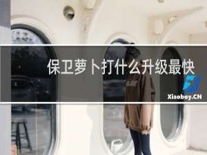 保卫萝卜打什么升级最快