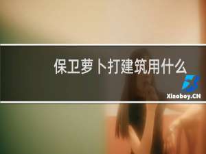 保卫萝卜打建筑用什么