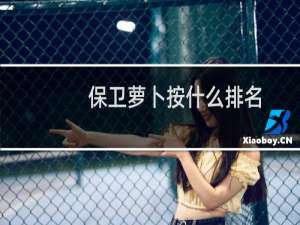 保卫萝卜按什么排名