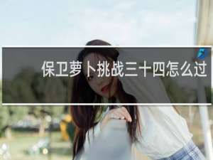 保卫萝卜挑战三十四怎么过