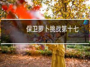 保卫萝卜挑战第十七