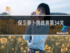 保卫萝卜挑战赛第34关