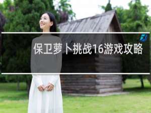 保卫萝卜挑战16游戏攻略