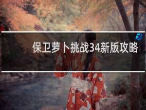 保卫萝卜挑战34新版攻略