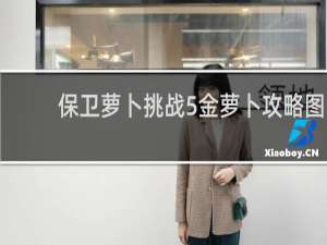 保卫萝卜挑战5金萝卜攻略图