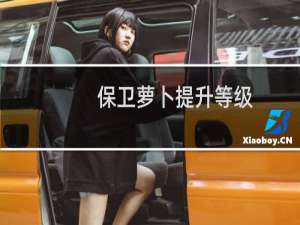 保卫萝卜提升等级