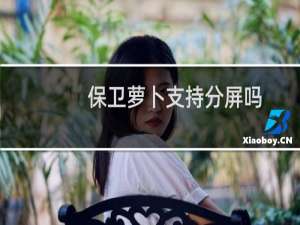 保卫萝卜支持分屏吗