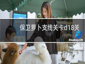 保卫萝卜支线关卡d18关