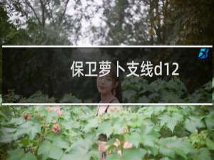 保卫萝卜支线d12