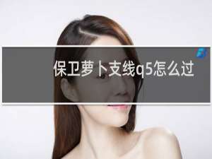 保卫萝卜支线q5怎么过