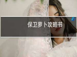 保卫萝卜攻略书