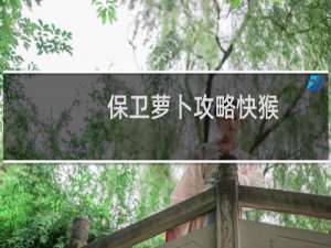 保卫萝卜攻略快猴