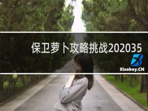 保卫萝卜攻略挑战  35