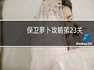 保卫萝卜攻略笫23关