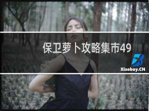 保卫萝卜攻略集市49